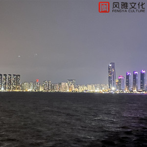 悬崖跳水的鱼儿（小提琴）