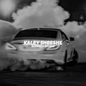 Kaley Sheeshe