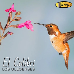 El Colibri