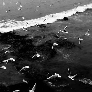 特别的人（纯音乐版）