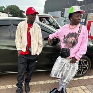 Dikison (kamunakiro)