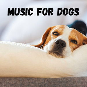 Dog Sleeping Music