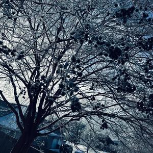 Here's A (Demo Version)