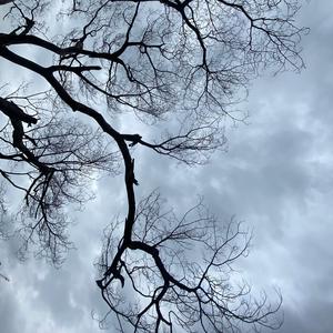 我的小宝贝 伴奏