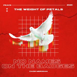 No Names on The Badges