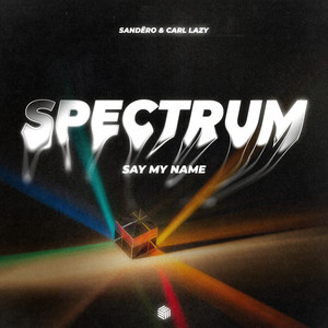 Spectrum (Say My Name)