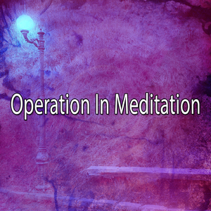 Rain with Quiet Bird Chorus