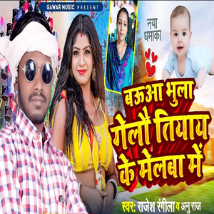 Baoua Bhula Gelai Tiyay Ke Mela Me