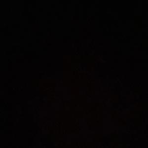 Reggie (feat. Jaiven cruz)