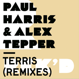 Terris (Radio Slave Remix)