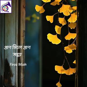 অনন্ত গগনে