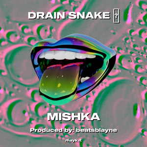 DRAIN SNAKE