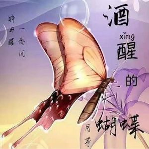 酒醒的蝴蝶（女声版）