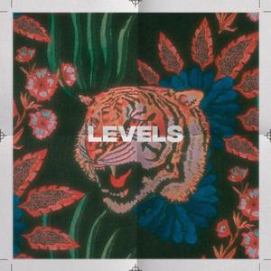 Levels