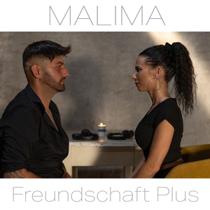 Freundschaft Plus