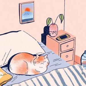 小猫不在乎桥上的爱情