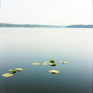 初夏のそよ風-250301-02 by @nia_japanese