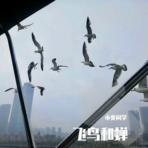 飞鸟和蝉（翻自 赧盆友）