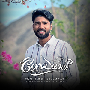 Meghamay Nilaavin Chillamele (From "Meghamay")