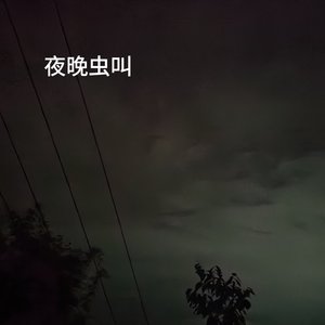 夜晚虫叫