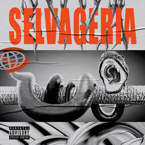 Selvageria