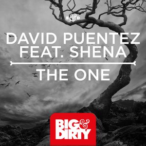 The One (Vicetone Remix)