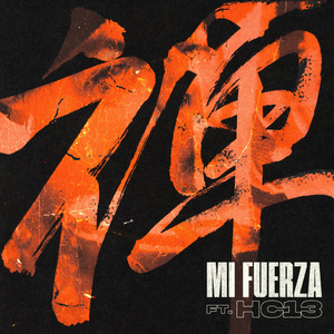 MI FUERZA
