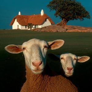 不爱就不爱吧 (节奏版)