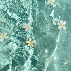 彩蝶放心中 伴奏