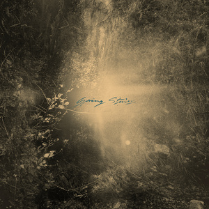 Through The Storm, In Your Arms