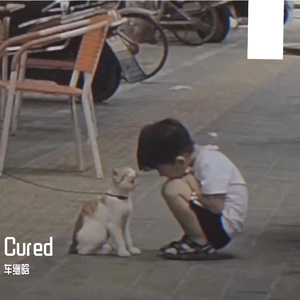 亲爱的旅人啊（翻自 周深）