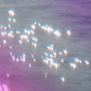 Talk about everything