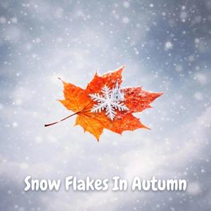 Snow Flakes In Autumn