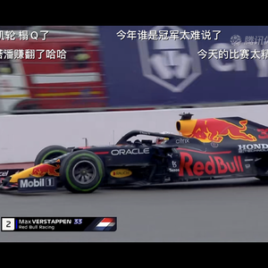 Max walk with you in the rain （乌鸦吃瓜 remix）