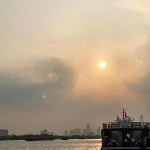 一开始就已经料到结局了