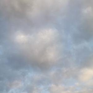 美女与野兽（翻自 郑云龙）