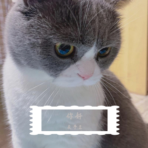 毛不易-给你给我（灰予豆 remix）