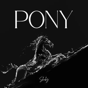 Pony