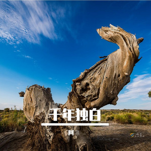千年独白