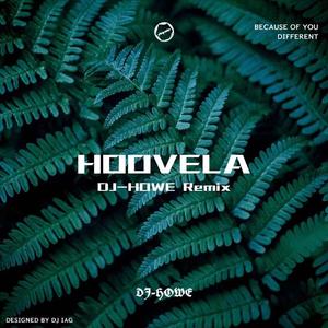 Steve Aoki-Hoovela（DJ-HOWE remix）