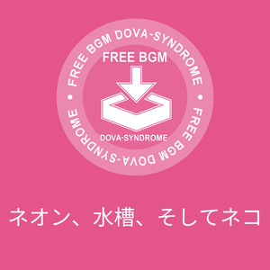 ネオン、水槽、そしてネコ