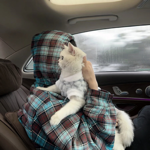 画-冬夏（Dj小轩ReMix remix）