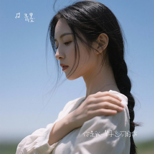 你是我一辈子忘不了的伤