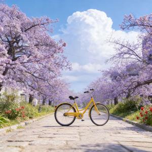 西双版纳傣迪酒吧进行曲