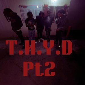T.H.Y.D Pt2 (feat. RichJunxie, OWorldBigB & Cdb Kap)
