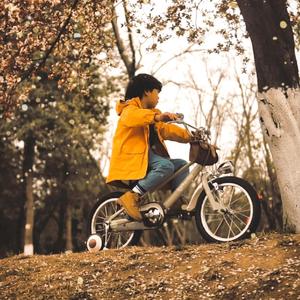 凤凰花开的路口（那就好好告个别吧）