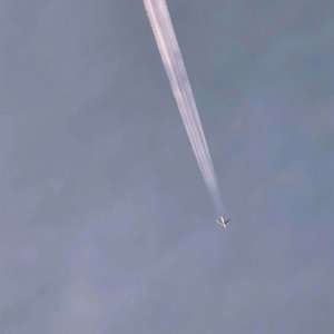 tired of love,sipping hennessy