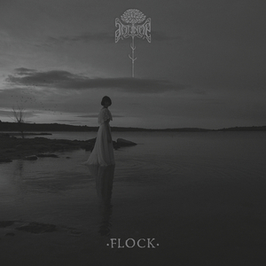 Flock