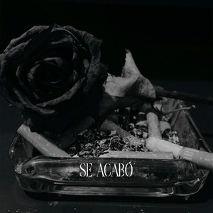 Se Acabó