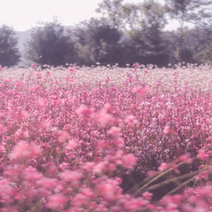 다음 생엔 너로 태어나, 나를 사랑해야지